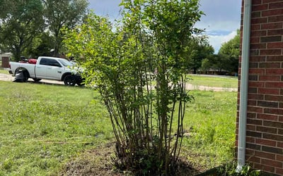 Photo of Barundi L.'s yard after getting landscaping in Tuttle, OK