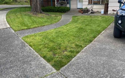 Photo of Johanna C.'s yard after getting tree care in Tacoma, WA