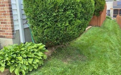 Photo of Anthony S.'s yard after getting landscaping in Perry Hall, MD