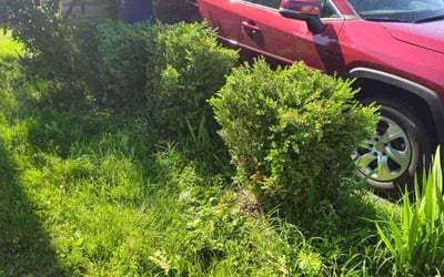 Photo of Melissa C.'s yard after getting landscaping in Leesburg, VA