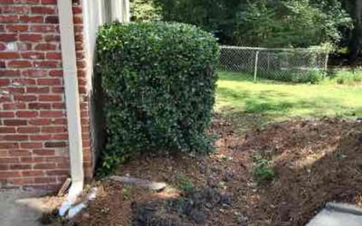 Photo of Tonya M.'s yard after getting landscaping in Riverdale, GA