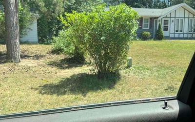 Photo of Melinda S.'s yard after getting landscaping in Holland, MI
