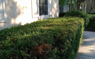 Photo of Joel B.'s yard after getting landscaping in Crooksville, OH