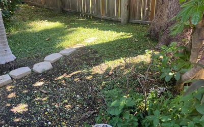 Photo of John S.'s yard after getting landscaping in Sydney, FL