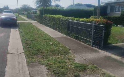 Photo of Tammy A.'s yard after getting landscaping in West Palm Beach, FL
