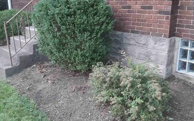 Photo of Barbara H.'s yard after getting tree care in Springboro, OH