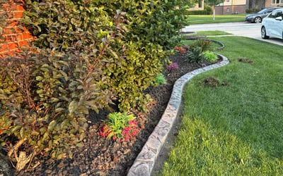 Photo of Tomeka H.'s yard after getting landscaping in Frankfort, IL