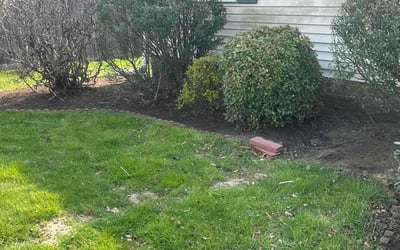 Photo of Harry M.'s yard after getting tree care in Newport News, VA