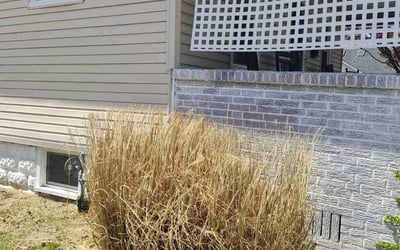 Photo of Andrew L.'s yard after getting landscaping in Vincentown, NJ