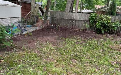 Photo of Mike C.'s yard after getting landscaping in Utica, MI