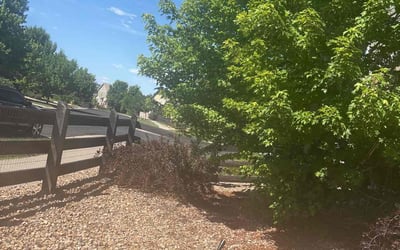 Photo of Amber C.'s yard after getting landscaping in Aurora, CO