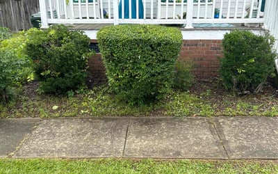 Photo of Debra L.'s yard after getting landscaping in Clayton, NC