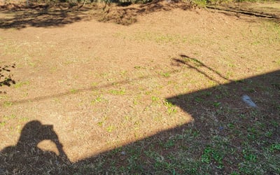 Photo of Matthew A.'s yard after getting landscaping in Crouse, NC