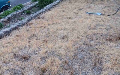 Photo of Adam C.'s yard after getting landscaping in Colville, WA