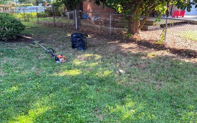 Photo of Dan H.'s yard after getting landscaping in Millersville, MD