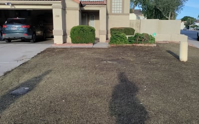 Photo of Amanda M.'s yard after getting landscaping in Stanfield, AZ