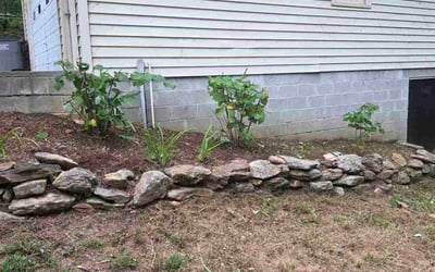 Photo of Dana K.'s yard after getting tree care in Simpsonville, SC