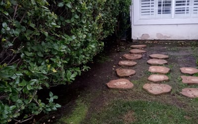 Photo of Kayla M.'s yard after getting landscaping in Rancho Santa Margarita, CA