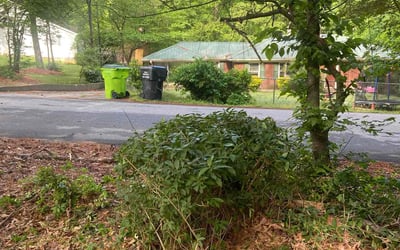 Photo of Ceray D.'s yard after getting landscaping in Lithia Springs, GA