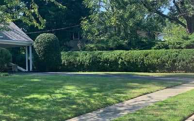 Photo of Mary S.'s yard after getting landscaping in Bel Alton, MD