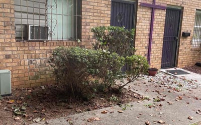 Photo of Hyun C.'s yard after getting tree care in Carrollton, GA