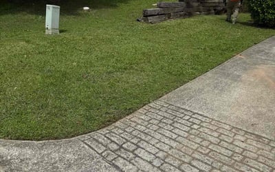 Photo of Kenny R.'s yard after getting landscaping in Stone Mountain, GA