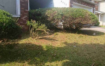 Photo of LaToya J.'s yard after getting landscaping in Decatur, GA