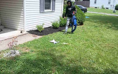 Photo of Deborah T.'s yard after getting landscaping in Terrace Park, OH
