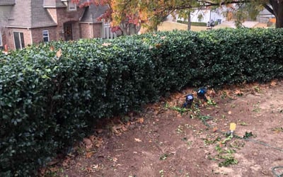 Photo of Richard M.'s yard after getting landscaping in Bristow, OK
