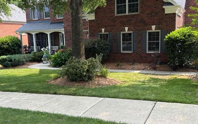 Photo of Aaron B.'s yard after getting landscaping in Waxhaw, NC