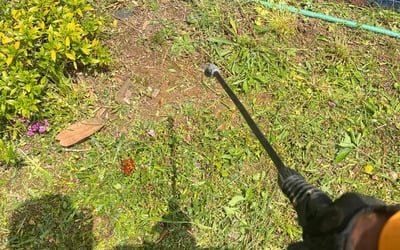 Photo of June K.'s yard after getting tree care in Huntersville, NC