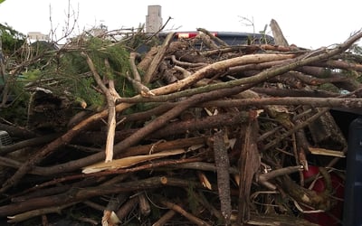 Photo of DeJanka O.'s yard after getting landscaping in Nashotah, WI