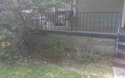 Photo of Ethan H.'s yard after getting tree care in Memphis, TN