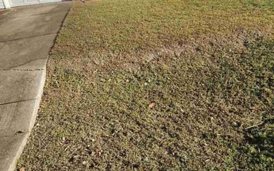 Photo of LaVerne M J.'s yard after getting landscaping in Broomes Island, MD