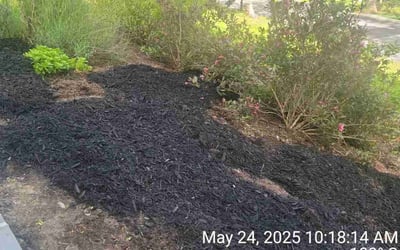 Photo of Jessica P.'s yard after getting landscaping in Conshohocken, PA