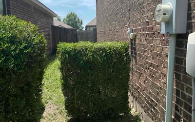 Photo of Sharon J.'s yard after getting landscaping in Forney, TX