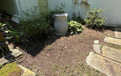 Photo of Emily B.'s yard after getting landscaping in Springfield, VA
