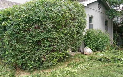 Photo of Gerald B.'s yard after getting landscaping in Polo, MO