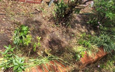 Photo of John F.'s yard after getting landscaping in Foster, VA