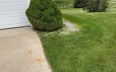 Photo of Victor G.'s yard after getting landscaping in Hudsonville, MI