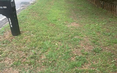 Photo of Angela M.'s yard after getting landscaping in Anderson, SC