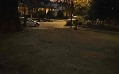 Photo of Donald F.'s yard after getting landscaping in Jasper, GA