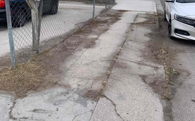 Photo of Jessica S.'s yard after getting landscaping in San Bernardino, CA