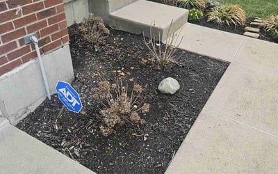 Photo of Terry L.'s yard after getting tree care in Lebanon, OH