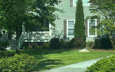 Photo of Daniel F.'s yard after getting landscaping in Mount Pleasant, SC