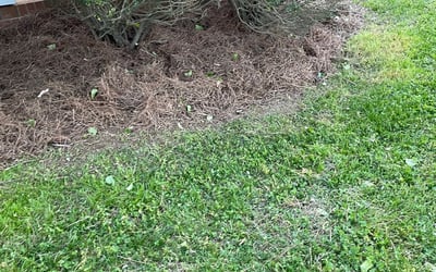 Photo of Stephanie B.'s yard after getting landscaping in Crouse, NC