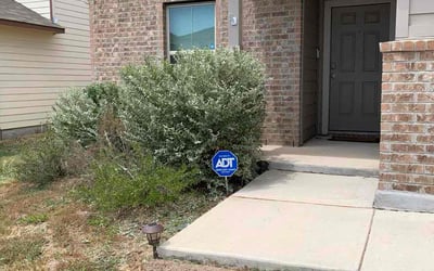 Photo of Brittany K.'s yard after getting tree care in San Antonio, TX
