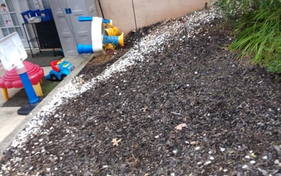 Photo of Denise P.'s yard after getting landscaping in Boston, VA