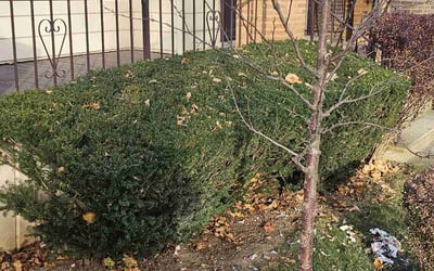 Photo of Karl R.'s yard after getting landscaping in Hartford, WI