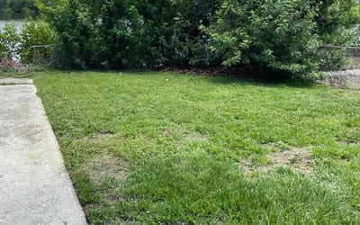 Photo of Christina C.'s yard after getting landscaping in Saint Leo, FL